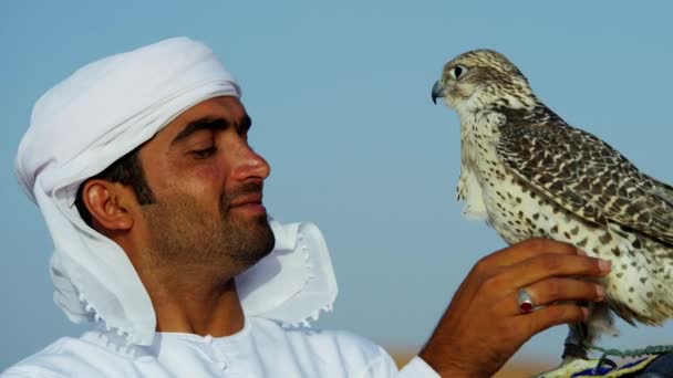 Hombre con el pájaro de presa de pie en las arenas del desierto — Vídeo de stock