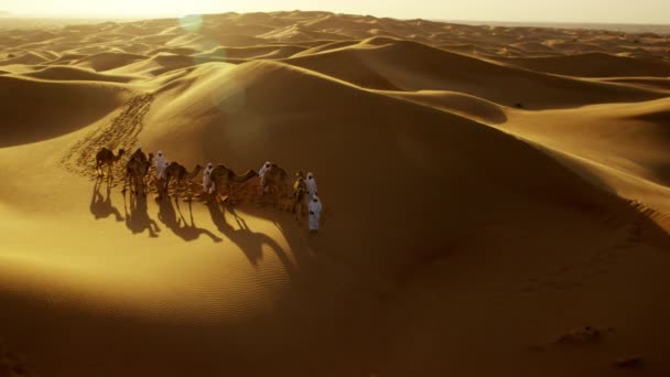 Convoy of camels travelling across desert — Stock Video