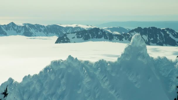 在阿拉斯加崎岖冰川覆盖的山峦 — 图库视频影像