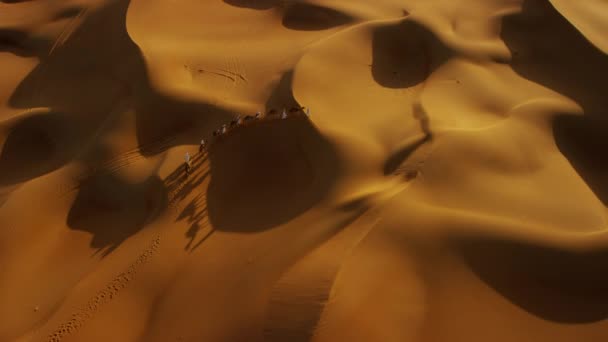 骆驼在沙漠车队业主 — 图库视频影像