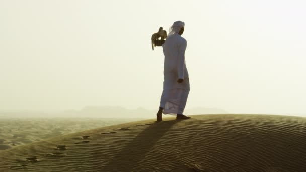 Homme avec oiseau de proie sur les sables du désert — Video