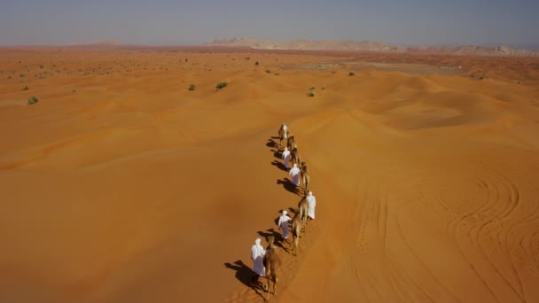 Convoi de chameaux traversant le désert — Video