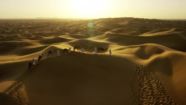 Comboio de camelos que viajam pelo deserto — Vídeo de Stock