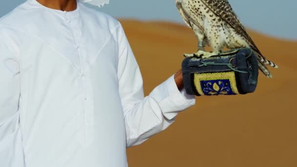 Arabe portant dishdasha avec faucon entraîné — Video