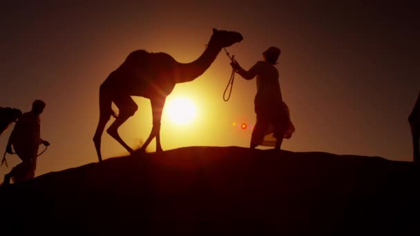 Propietarios de camellos en convoy desierto — Vídeos de Stock