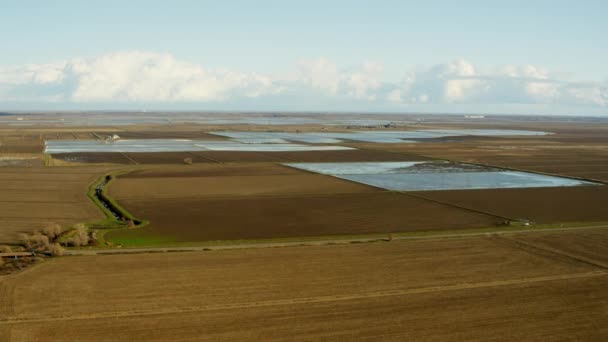 Sutter campos de arroz, Califórnia — Vídeo de Stock