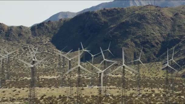 Wind turbines in rural area of Los Angeles — Stock Video