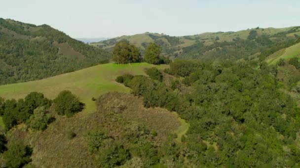 Mt ディアブロ州立公園内の緑の丘 — ストック動画