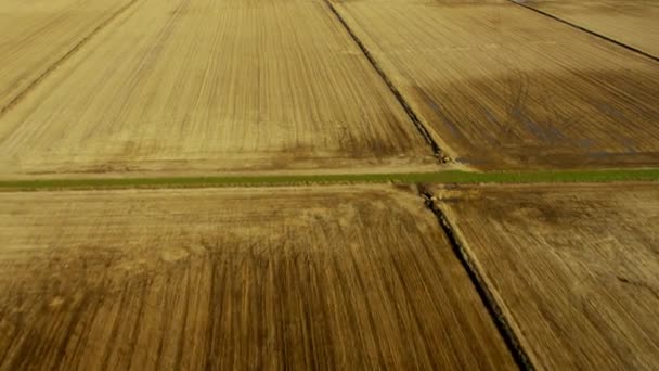 Ackerland in der ländlichen Landwirtschaft, Kalifornien — Stockvideo