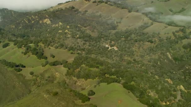 Campo em Mt Diablo State Park — Vídeo de Stock