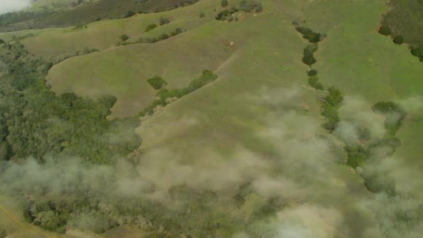 Green hills in Mt Diablo State Park — Stock Video