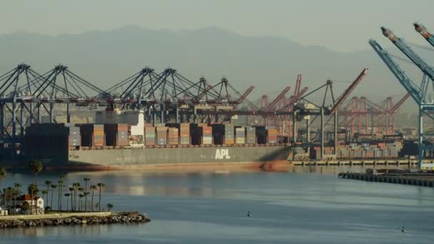 Container ship in Los Angeles, California — Stock Video