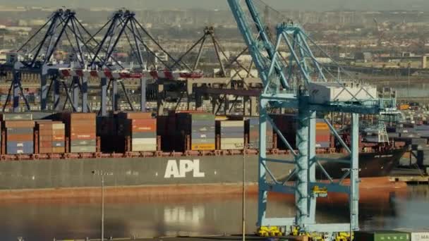 Portacontenedores en el puerto de Los Ángeles — Vídeo de stock