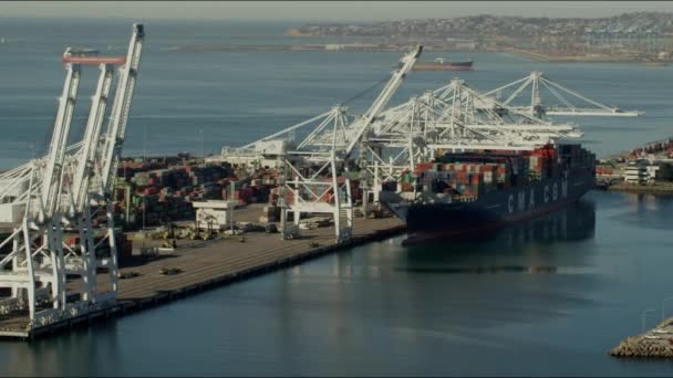 Контейнерные суда и краны в порту Лос-Анджелеса — стоковое видео