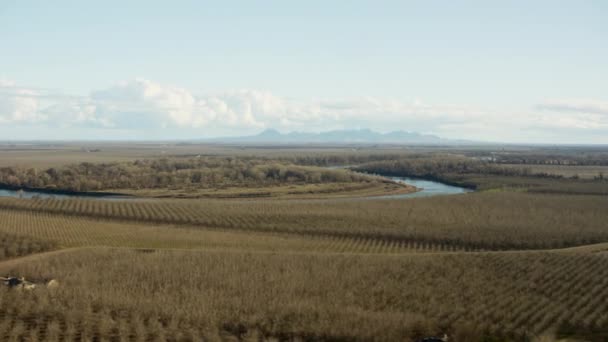 Landsbygdens vingård grödor i Glenn County, Kalifornien — Stockvideo