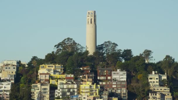 Coit Tower Telegraph Hill ile San Francisco — Stok video