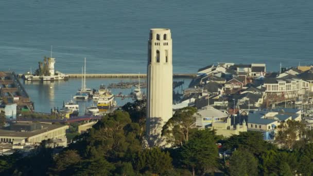 San Francisco med Coit Tower Telegraph Hill — Stockvideo