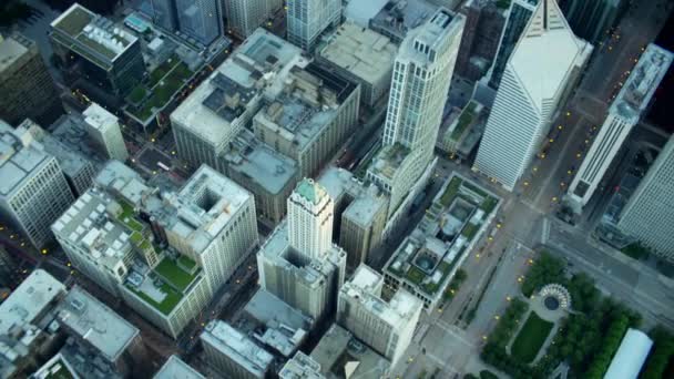 Millennium Park in Chicago, Illinois — Stockvideo