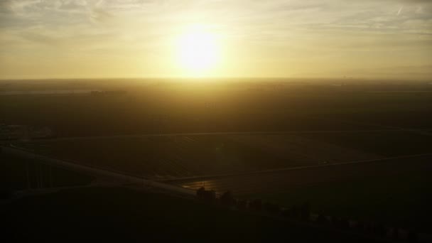 Campos de cultivo de morango vista aérea Oxnard Califórnia EUA — Vídeo de Stock