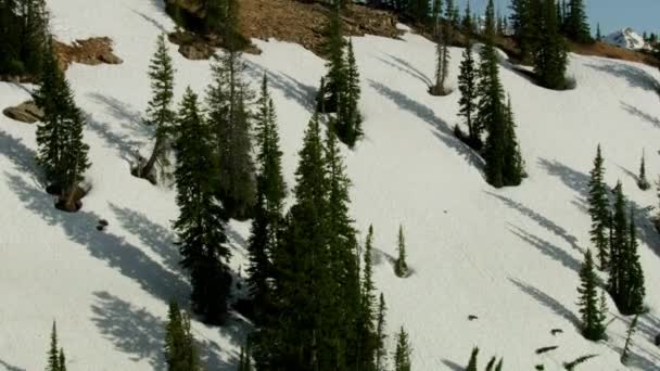 Aerial view Grand Teton mountain range snow Wyoming — Stockvideo