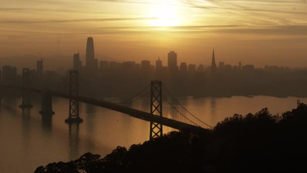 Pôr-do-sol aéreo Oakland Bay Bridge acima das árvores — Vídeo de Stock