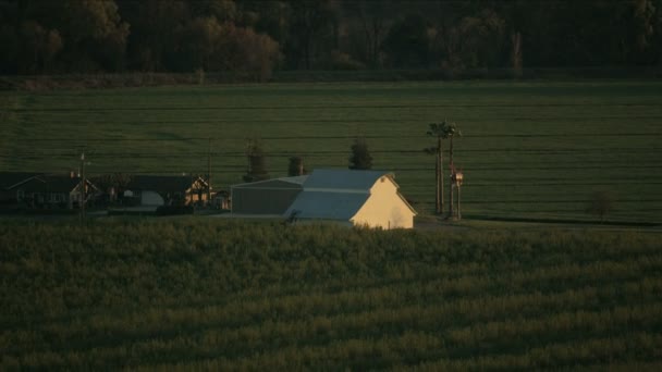 농작물을 재배하는 집들이 공중에 떠 있는 모습 미국 — 비디오