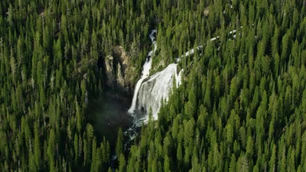 Luchtfoto Union Falls Yellowstone National Park Verenigde Staten — Stockvideo