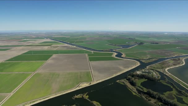 Patchwork aéreo culturas irrigação aqueduto América paisagem agrícola — Vídeo de Stock