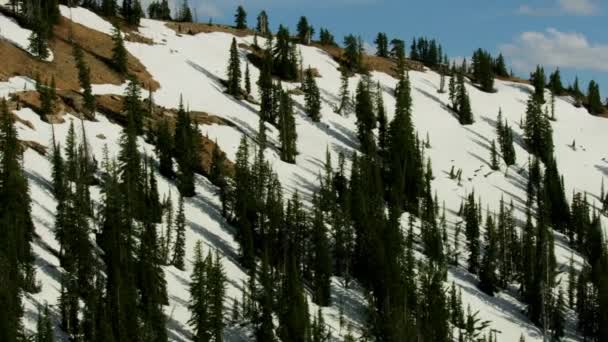 Vue Aérienne Montagne Mont Moran Grand Teton — Video