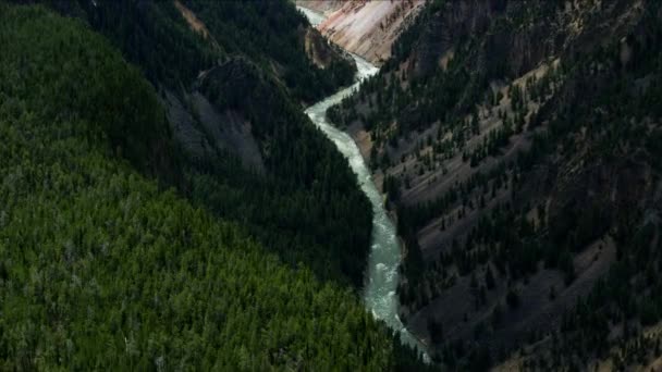 Letecký pohled borové lesy tekoucí řeka Yellowstone Park — Stock video