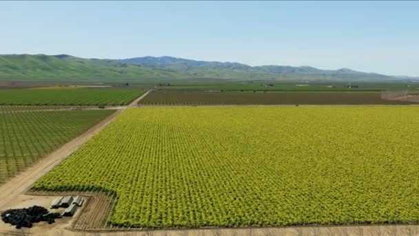 캘리포니아 저지대의 농토를 경작하는 일련의 농작물 — 비디오