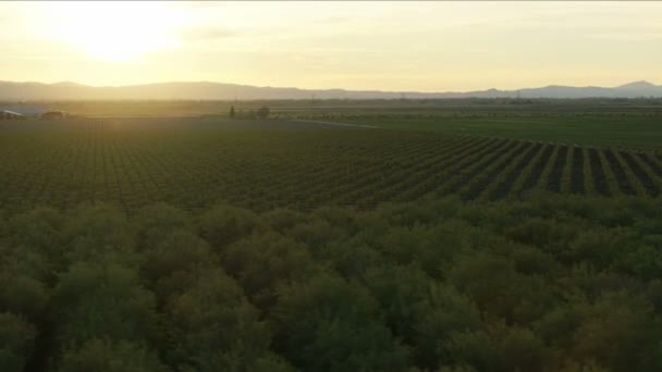 Légi biológiailag termesztett növények napkitörés Central Valley — Stock videók