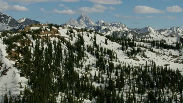 Aerial view Mount Moran Yellowstone National Park USA — Stockvideo