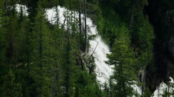 Aerial view Mountain Ash Creek Yellowstone park USA — стокове відео