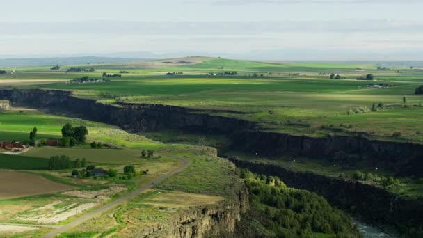 Aerial view zöld mezőgazdaság Snake River Canyon Amerikai Egyesült Államok — Stock videók