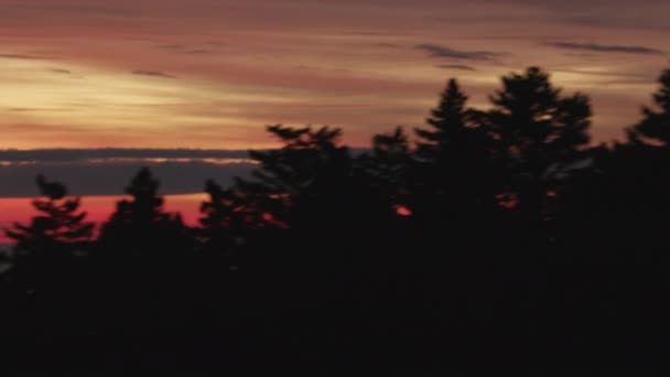 Antenne Dämmerung Sonnenuntergang Ansicht Himmel Wald Kiefern — Stockvideo