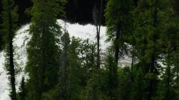 Aerial Union Falls Mountain Ash Creek Yellowstone USA — Stock video