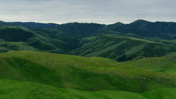 Vista aérea verde fértil campo rodante Idaho EE.UU. — Vídeo de stock