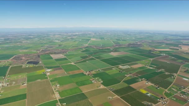 Aerial scenic patchwork crops growing America farming landscape — Stock Video