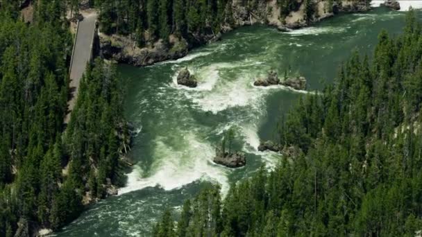 Vista aérea del río Yellowstone Lower Falls Wyoming — Vídeos de Stock