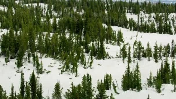 Вид с воздуха покрытый снегом дикая природа Гранд Титон гор — стоковое видео