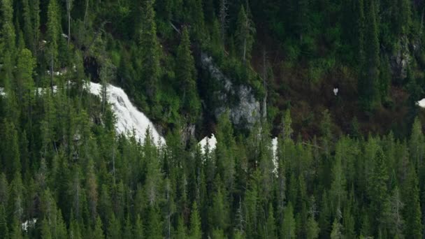 Aerial view Yellowstone Union Falls tourist site Wyoming — Stock Video