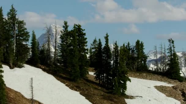 Neige aérienne couverte Mont Moran Teton montagnes USA — Video