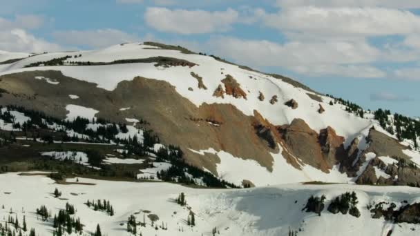 Vue aérienne forêt sauvage pinède neige Yellowstone Park — Video