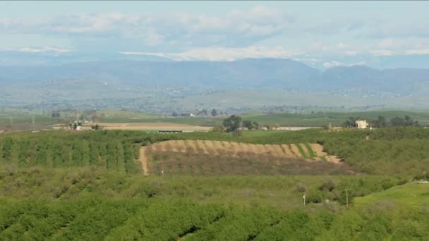 비옥 한 토지를 재배하는 많은 농작물 — 비디오