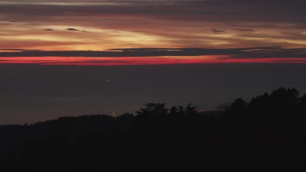 Dämmerungshimmel bei Sonnenuntergang Wald Kiefern — Stockvideo