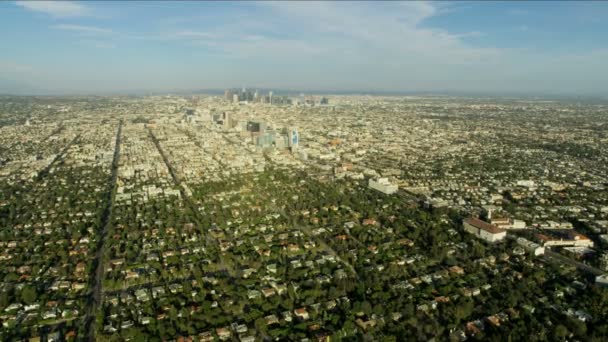 Aerial cityscape view Koreatown homes and businesses LA — Stock Video