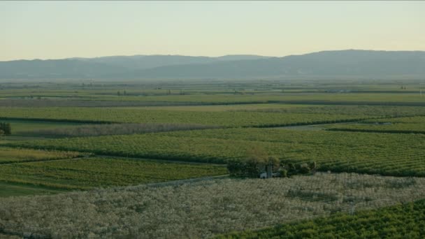 중앙 계곡 의경치를 한눈에 볼 수있는 여러 가지 농작물 — 비디오