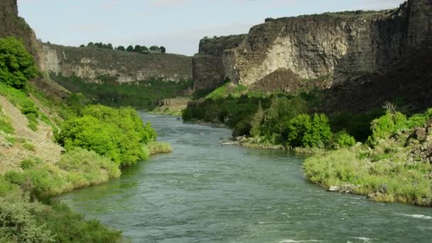 Vista aérea vegetación verde Snake River canyon Estados Unidos — Vídeo de stock