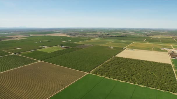 Utsyn over lappeteppe økologiske avlinger som dyrker Amerika – stockvideo